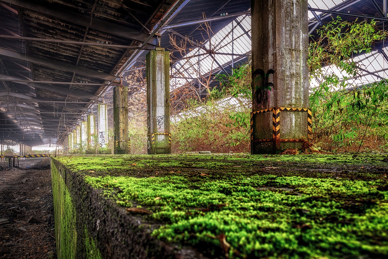 Lost Warehouse